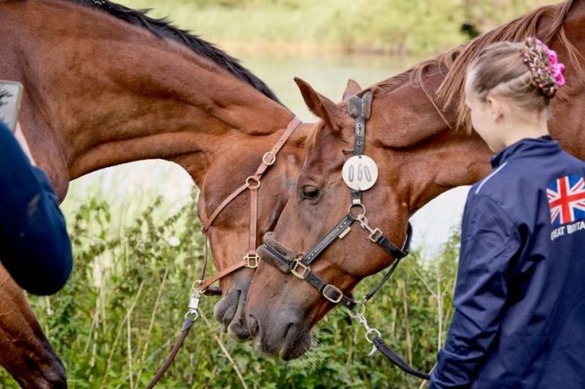 FEI Vaulting European Championship for Seniors & World Championships for Young Vaulters and Juniors 2023 - Flyinge (SWE)