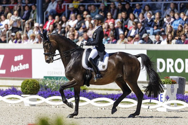 FEI Dressage Nations Cup™ 2023