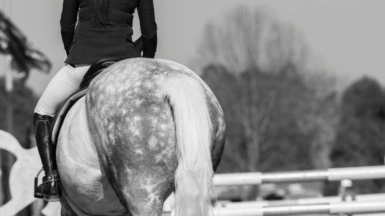 The Power of Mental Skills