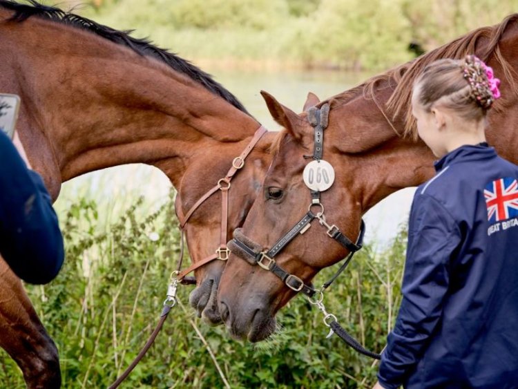 FEI Vaulting European Championship for Seniors & World Championships for Young Vaulters and Juniors 2023 - Flyinge (SWE)