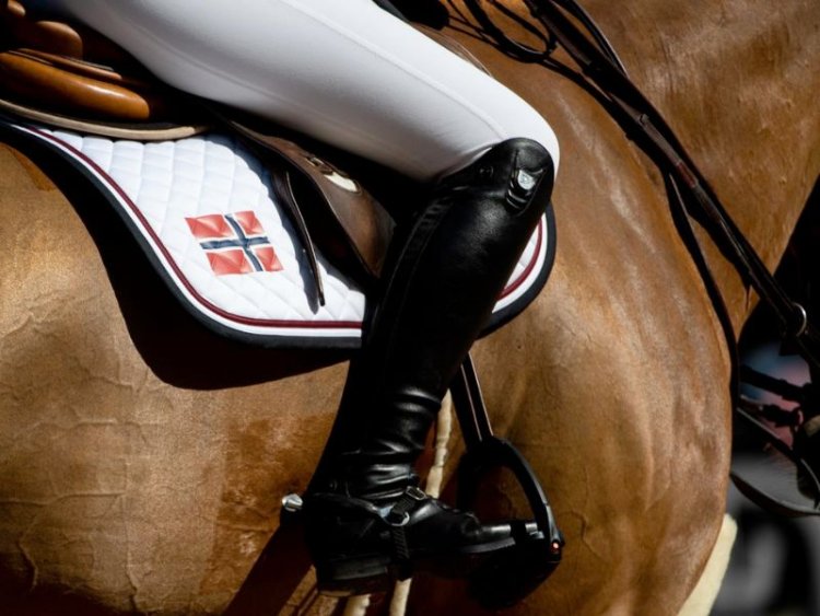 Olympic Jumping Qualifier for Group C   Prague (CZE)