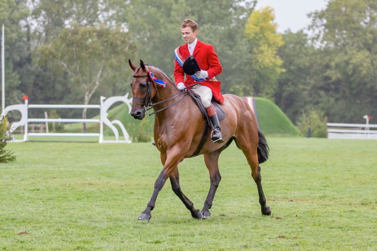 BRILLIANT WILL LANDS FIRST SUPREME