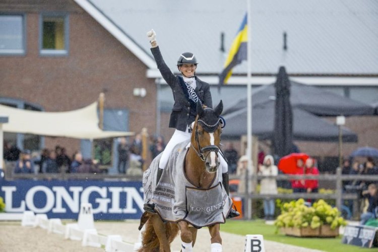 FEI WBFSH Dressage World Breeding Championship for Young Horses 2023 - Ermelo (NED)