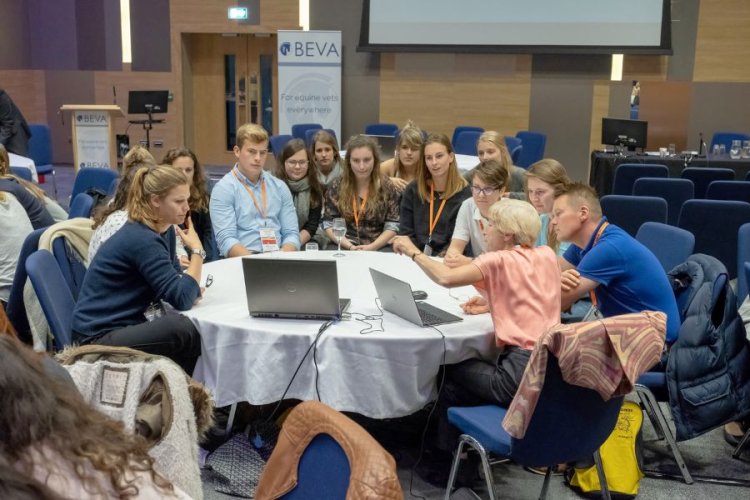 BRITISH EQUINE VETERINARY ASSOCIATION LAUNCHES NEW EDUCATION PROGRAMME AT THE LONDON INTERNATIONAL HORSE SHOW