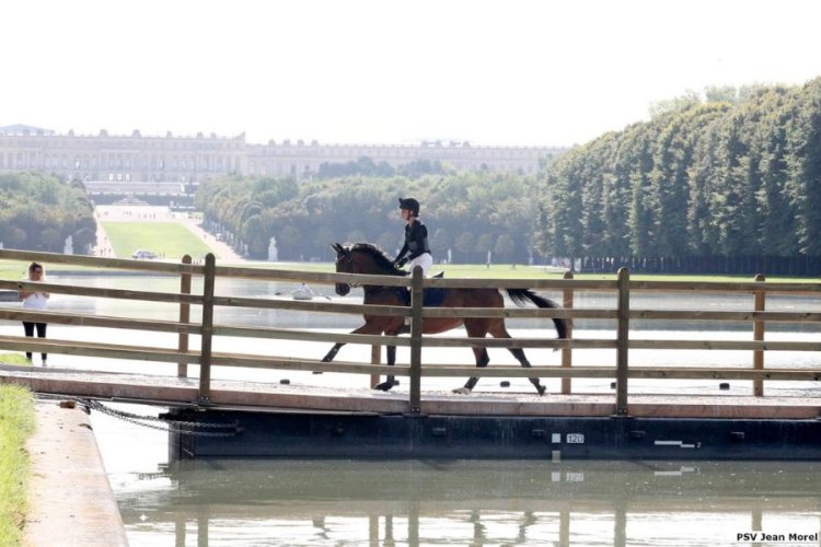 Equestrian well and truly on course for Paris 2024!