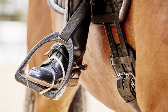 FEI Para Dressage European Championship 2023 - Riesenbeck (GER)  Grade II