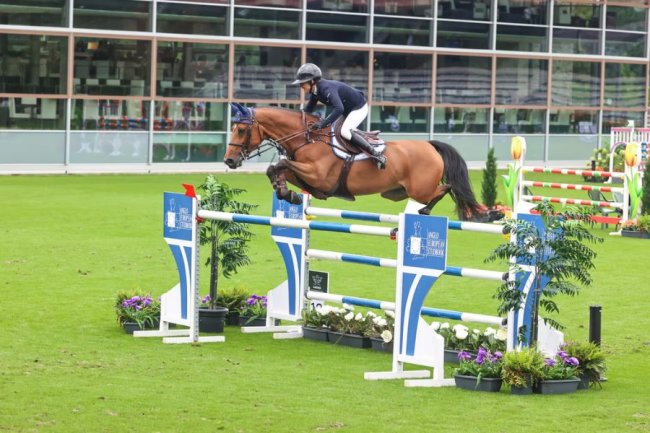 KWPN, Hannoveraner and Selle Francais dominate on day 2 of WBFSH Studbooks Jumping Global Champions Trophy