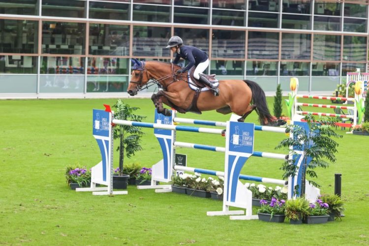 KWPN, Hannoveraner and Selle Francais dominate on day 2 of WBFSH Studbooks Jumping Global Champions Trophy