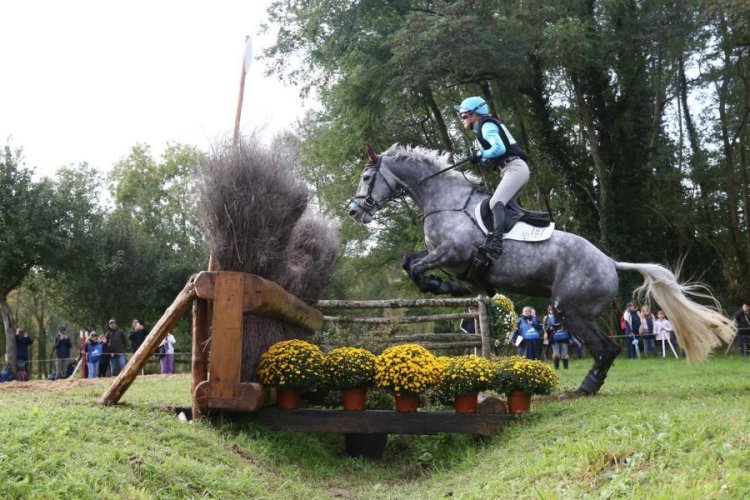 FEI WBFSH Eventing World Breeding Championship for Young Horses 2023 - Lion d'Angers (FRA)