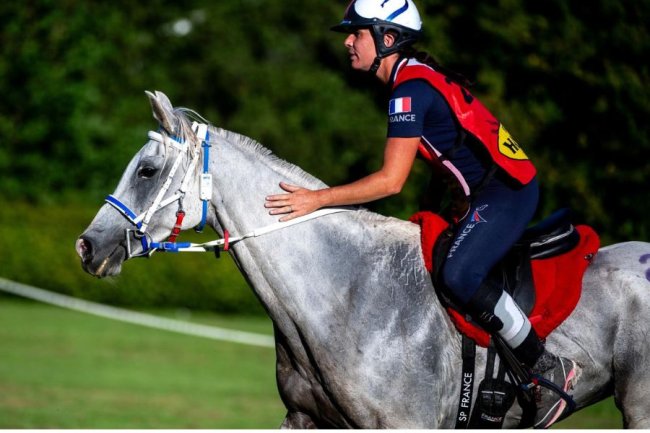 FEI Rankings Monthly Update – November 2023