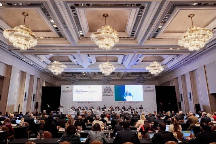 FEI Hybrid General Assembly 2023 and in-person FEI Board Meeting – summary of decisions