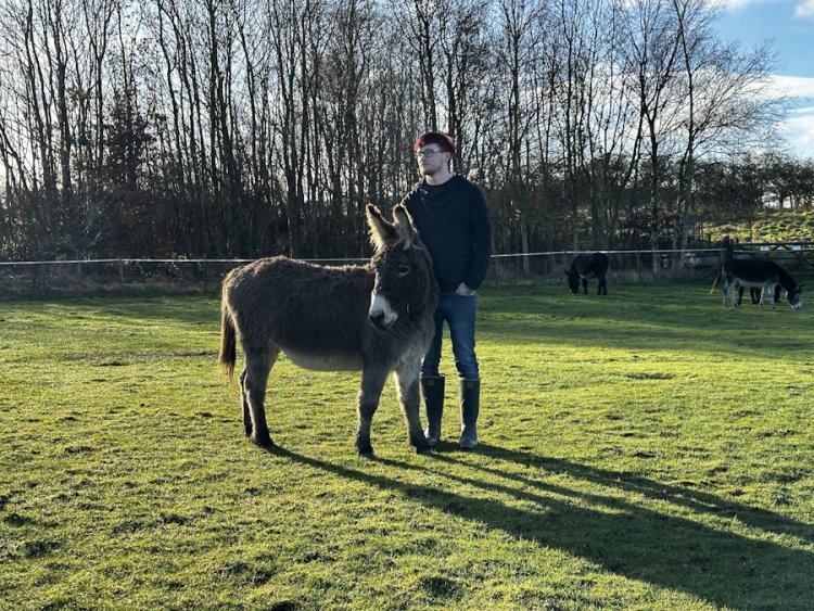 Leeds man says time with donkeys helped transform his life