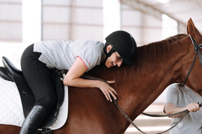 FEI Para Dressage World Challen