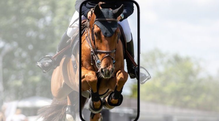 Going Mobile: The Future of Equestrian Business