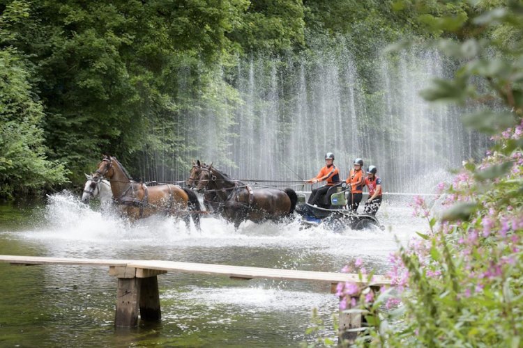 FEI Rankings Monthly Update – May 2024