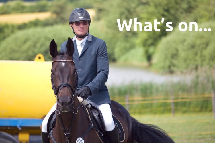 What's on in Summer 2024?