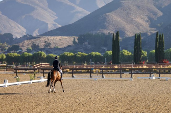 Equestrian Center in Temecula proposed as new venue for LA28 equestrian events