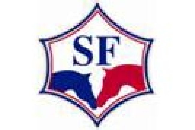 Save the dates and discover the best SF young stallions