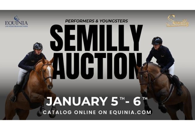 Ring in 2025 with a Semilly young horse