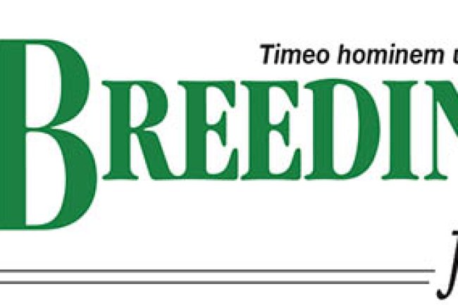 Updated issue now available…