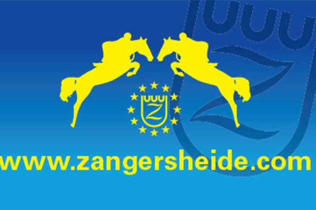 Zangersheide stallion licensing  approves 37 new stallions