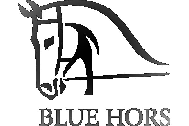 Blue Hors pauses competition participation for ethics reasons