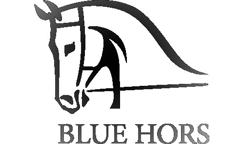 Blue Hors pauses competition participation for ethics reasons