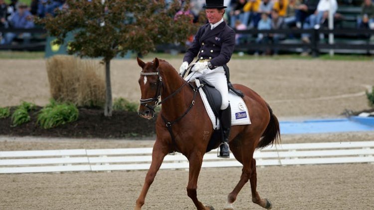 Horse whipping is painful and cruel. The latest incident shows why it should be banned