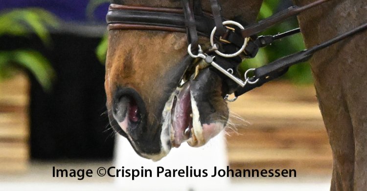 Foam, Fear, and False Signals: Why the FEI’s New Ban on Artificial Saliva Matters