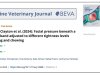 A Reply to Response to Comments on ‘Facial pressure beneath a cavesson noseband adjusted to different tightness levels during standing and chewing”