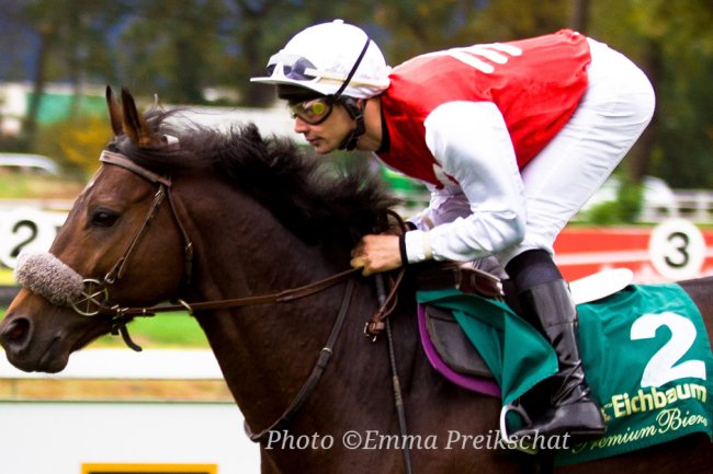 The Mouth-Iron-Free Solution for Sudden Death in the Racehorse