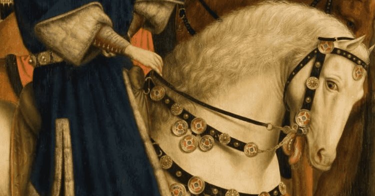 Bits Bite: The Plight of Sport Horses