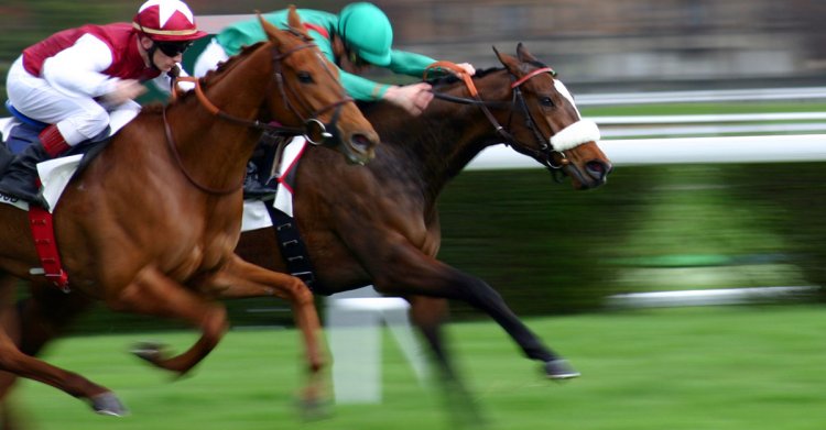 The Price of the Podium: How Commercial Incentives Shape Horse Welfare in Elite Sport