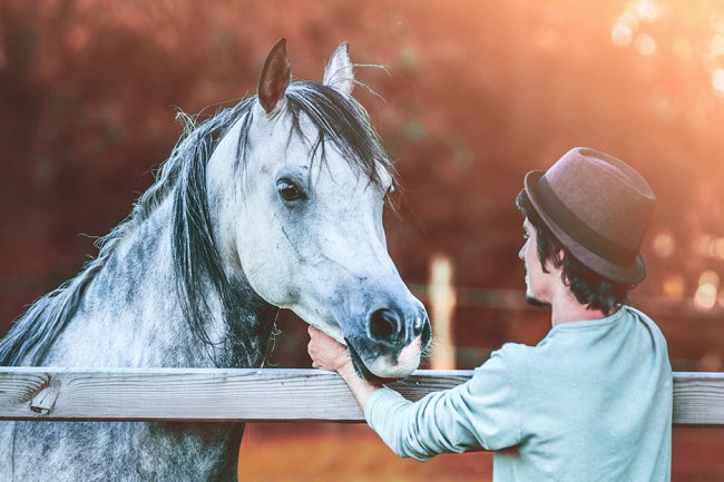 What Kind of Horse Person Are You — And What Does That Mean for Your Horse?