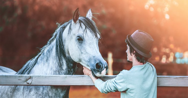 What Kind of Horse Person Are You — And What Does That Mean for Your Horse?
